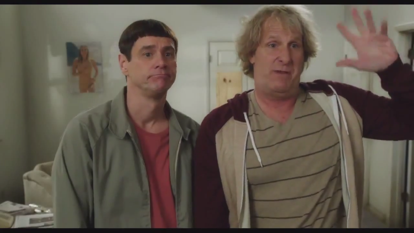 DUMB AND DUMBER TO