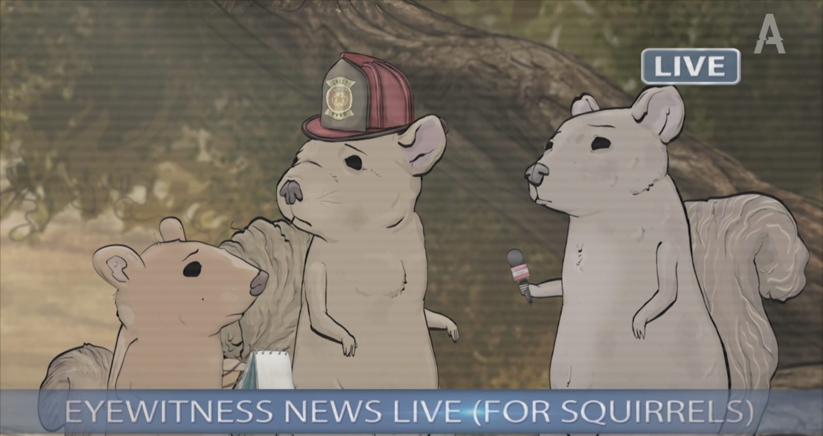 News Block Daily 02/11/16