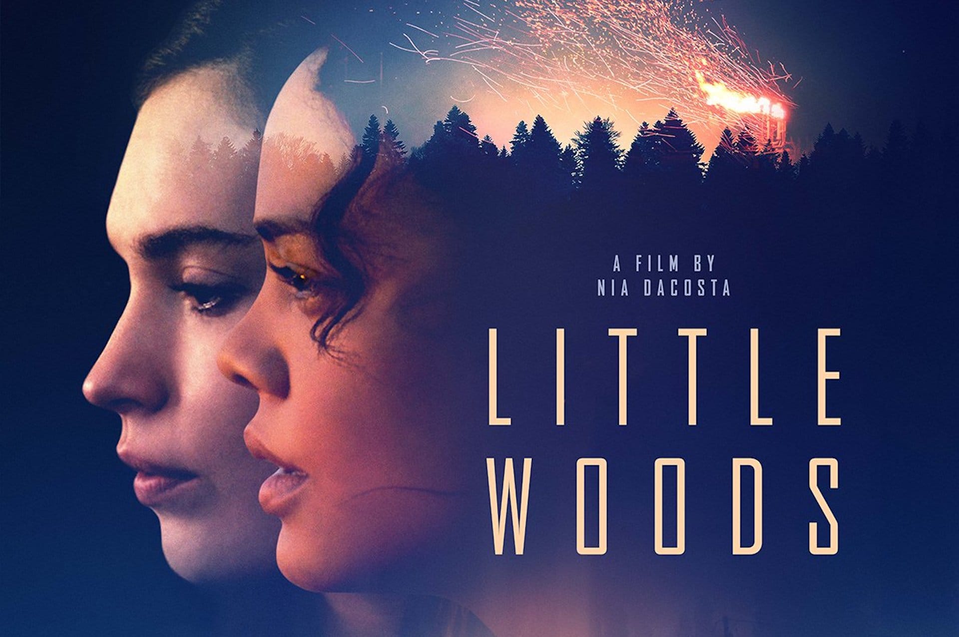 Трейлер: «Little Woods»