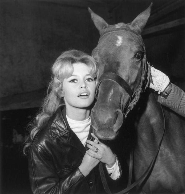 Random Fact: от Пола Верховена до Бриджит Бардо