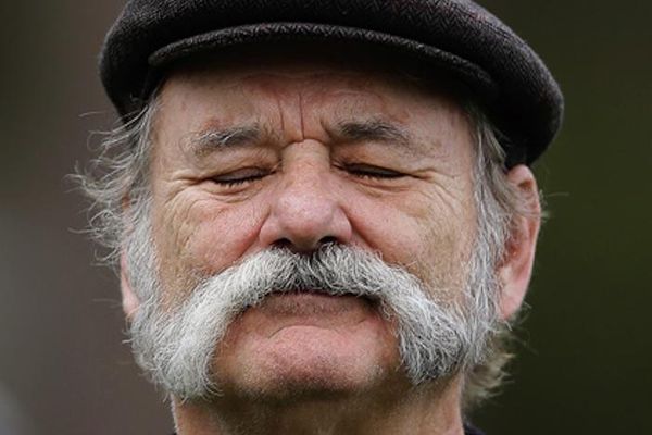 Random Fact: от Билла Мюррея до Вуди Аллена