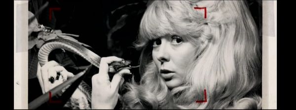 Иди и смотри: «Таблоид»