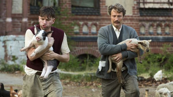 Out of Focus: «Мужчины и куры»