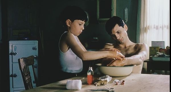 Иди и смотри:  «Отражающая кожа»