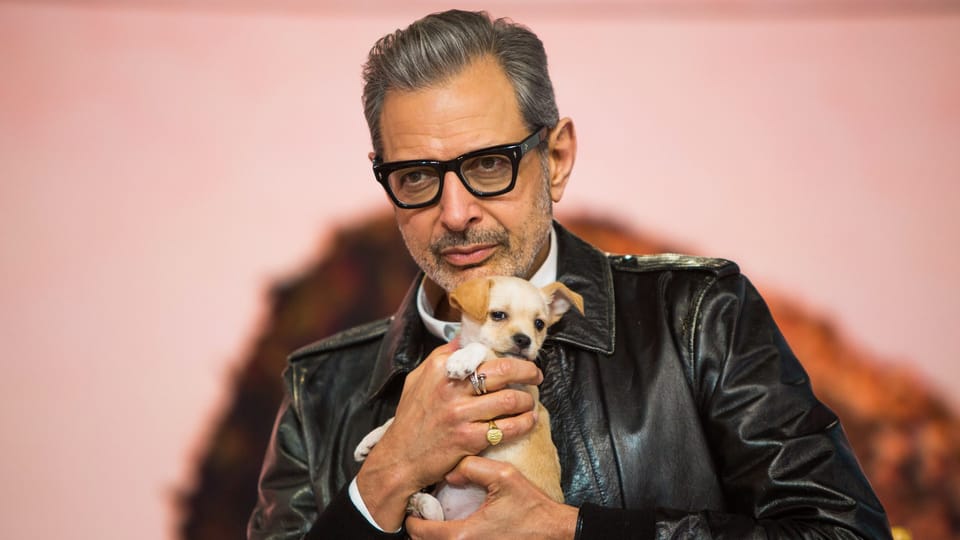 Goldblum da ba dee da ba dye