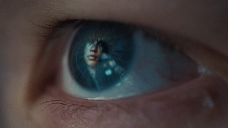 Трейлер: «Эйфория» (специальный эпизод)
